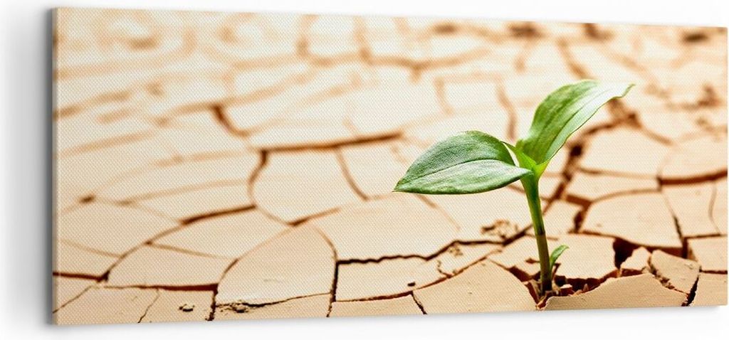 Bild auf Leinwand - Leinwandbild - Wüste Erde Umwelt - 100x40cm - Wand Bild - Wanddeko - Wandbilder - Leinwanddruck - Bilder - Kunstdruck - Wandde...