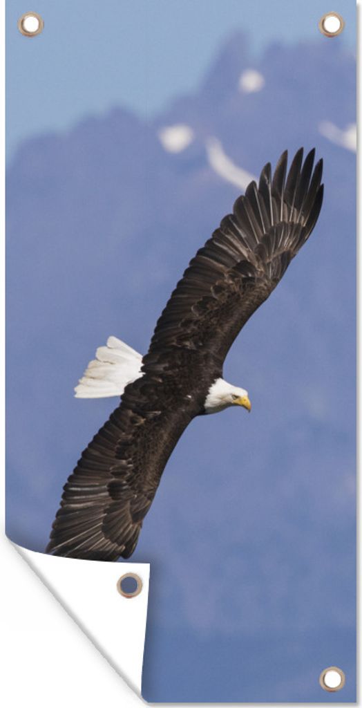 MuchoWow 80x160 cm Outdoor-Poster Gartendeko Sichtschutz Garten Poster für den Garten Amerikanischer Seeadler - Adler - Fliegen - Flügel - Vögel