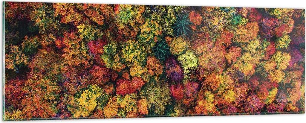 Bilder auf glas - Einteilig - Herbst Perspektive Vogel - 90x30cm - Glasbilder - Wandbilder - Bilder - zum Aufhängen bereit - Wanddekoration aus Gl...
