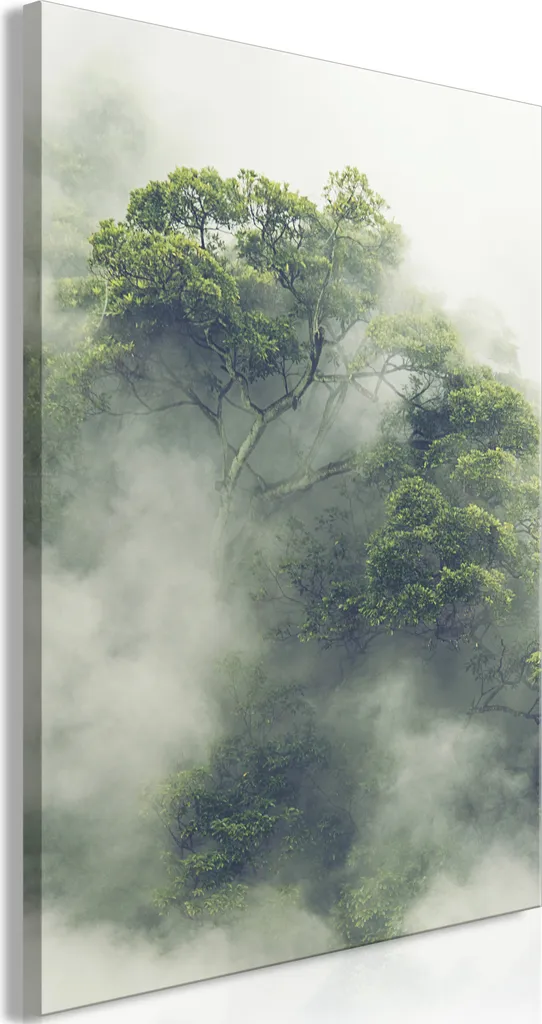 Quadro su tela italiano - Amazzonia nebbiosa (1 parte) verticale 60x90 cm Paesaggi b-B-0487-b-a