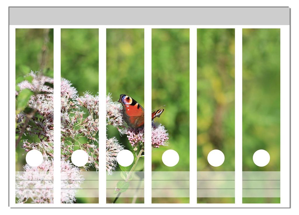 Wallario Ordnerrücken Sticker, selbstklebend für breite Ordner, 6 Stück, Motiv Schmetterling auf Blüte