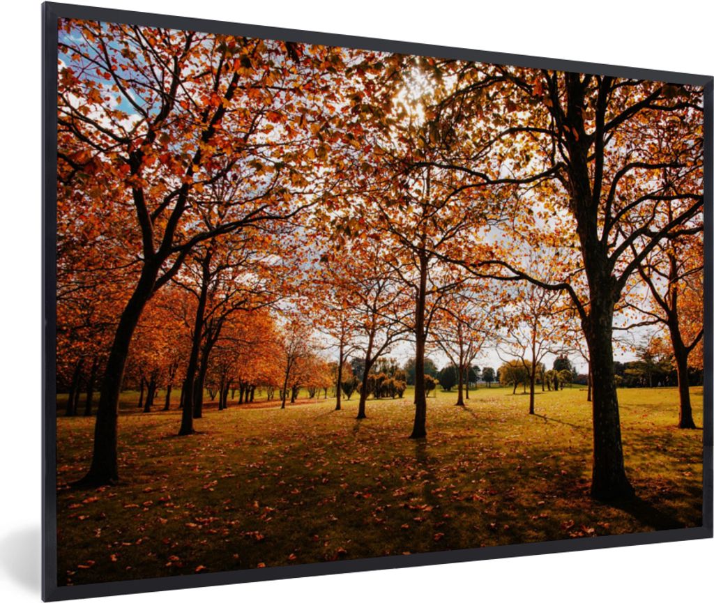 MuchoWow Gerahmtes Poster Herbst - Herbstblätter - Natur 60x40 cm - Poster mit Schwarzem Bilderrahmen Wandposter Rahmen Foto Bilder - Printing -...