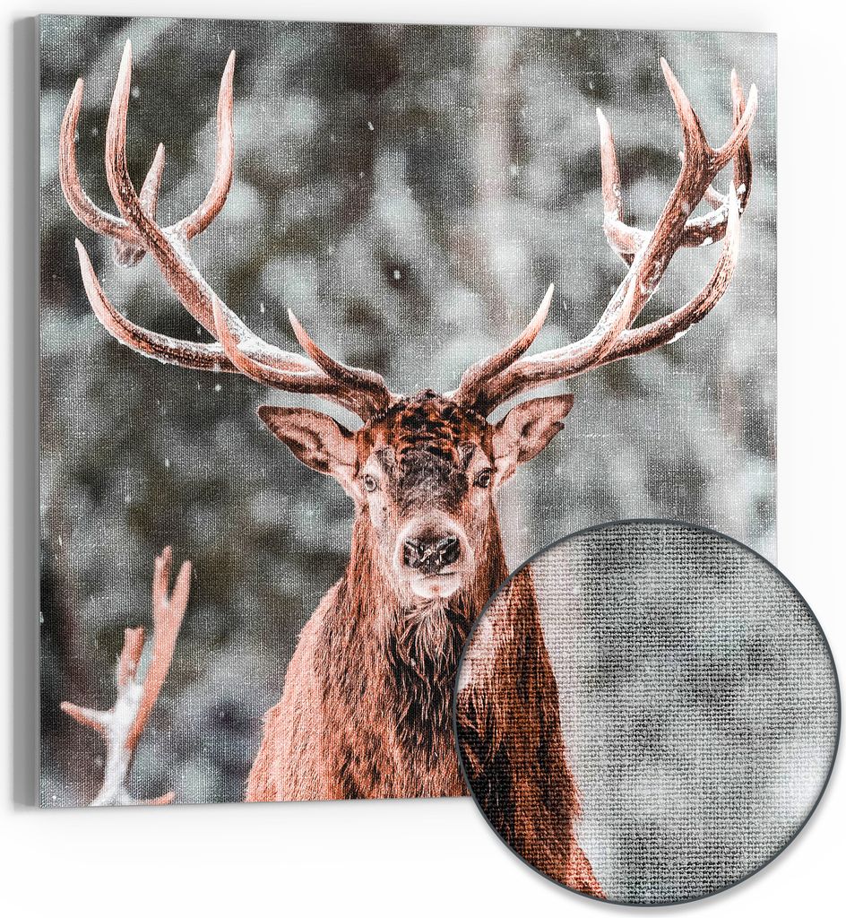 DEQOART Hybrid Leinwand Bild 30x30 cm 'Herr des Winterwaldes' Wandbild Glas flach modern