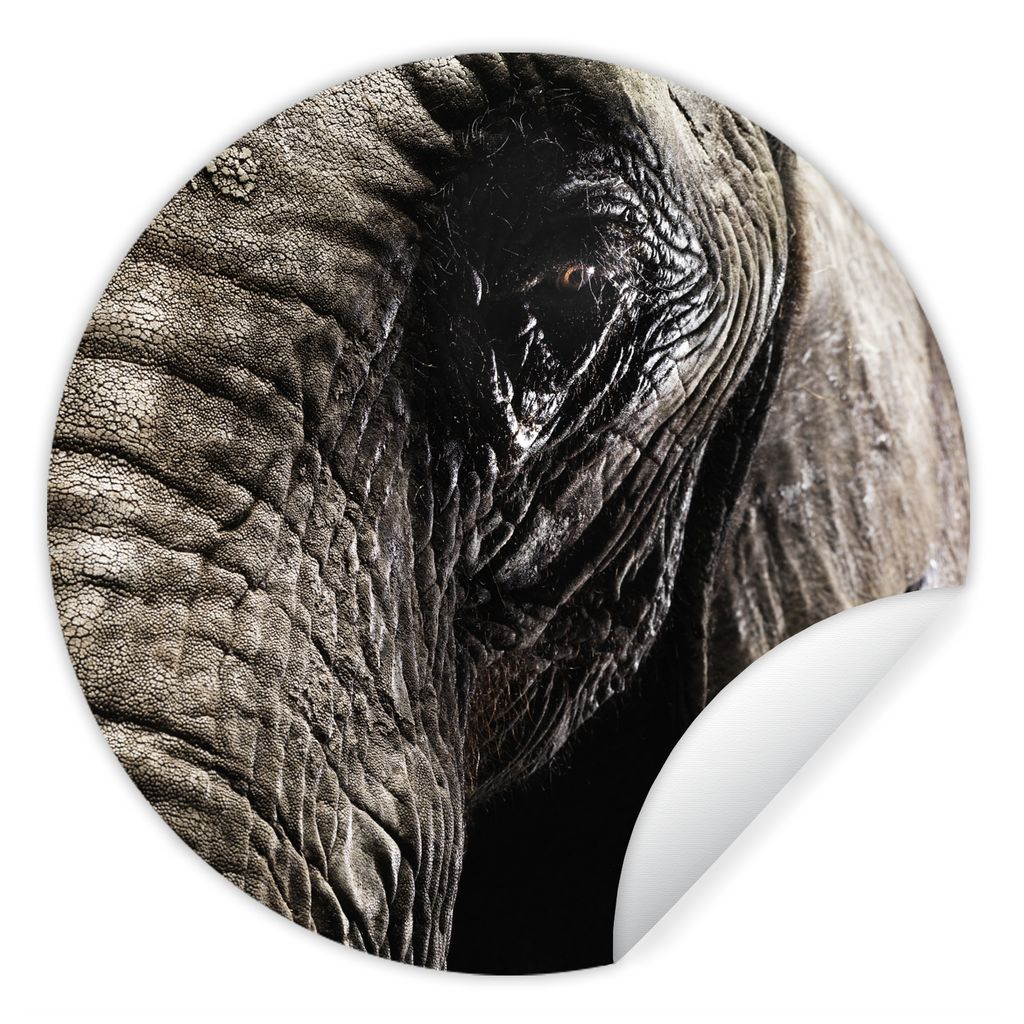 MuchoWow Runde Wandtattoo - Wandsticker Tapete Aufkleber Elefant - Tiere - Nahaufnahme - Schwarz Ø 100 cm Selbstklebend und Repositionierbar - W...