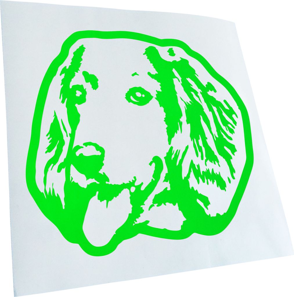 Kiwistar - Autoaufkleber - english Cocker Spaniel Dog Hund - Lindgrün - 11x10cm - Aufkleber für Auto, Laptop, Fahrrad, LKW, Motorrad mehrfarbig J...