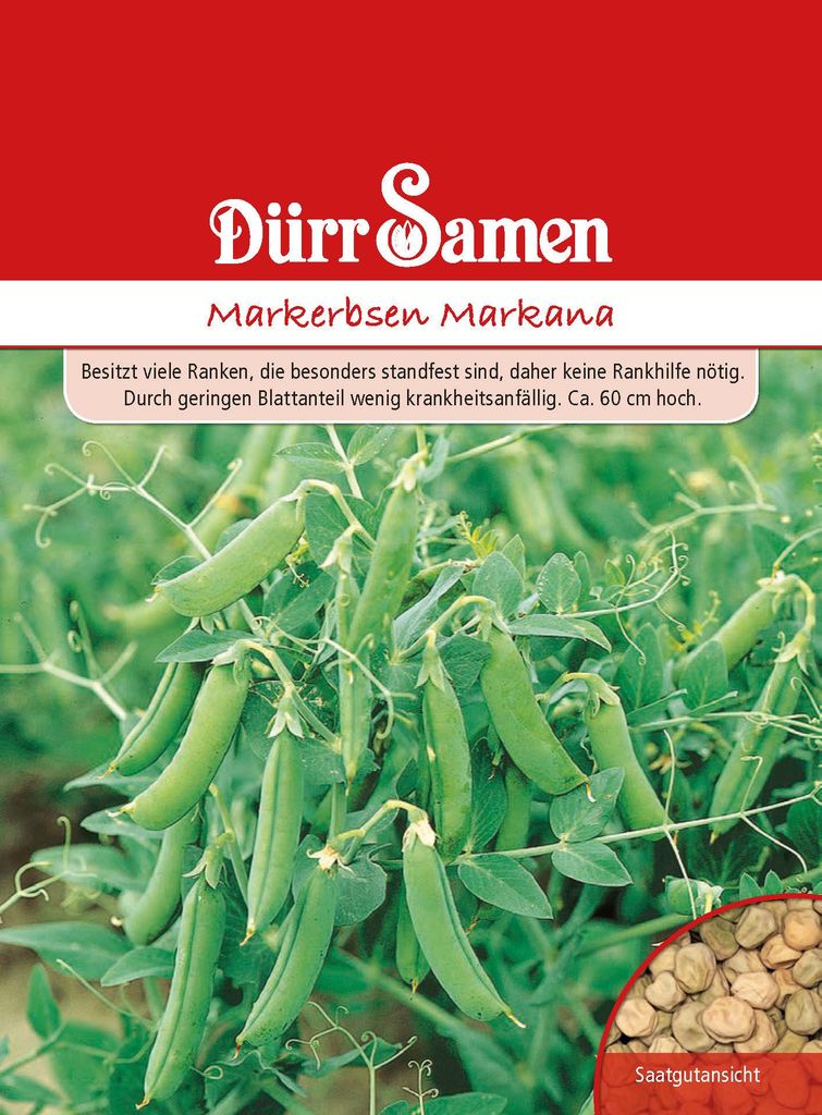 Markerbse Markana | Markerbsensamen von Dürr Samen Produktbild 