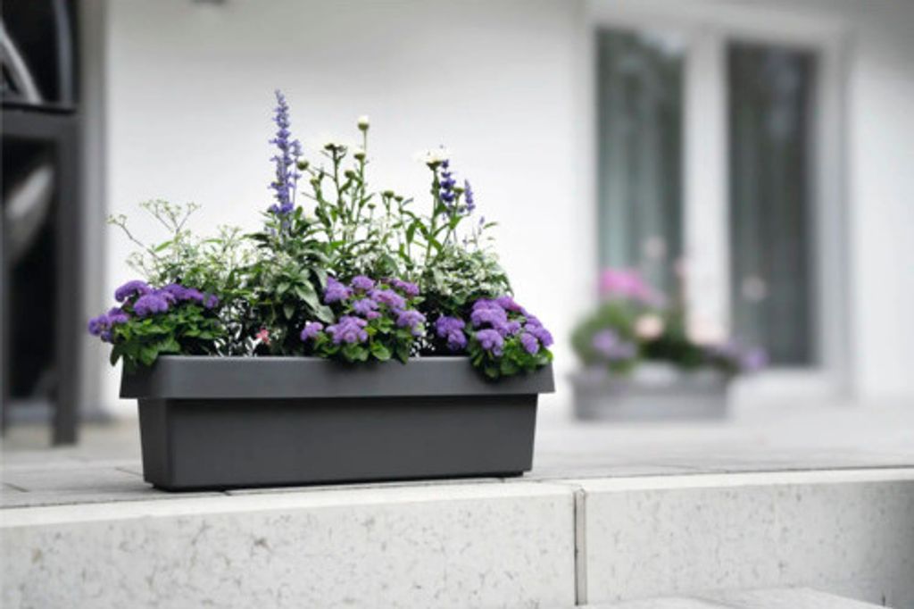 Geli Bewässerungsblumenkasten VIVA Anthrazit 60 x 21,2 cm - Produktbild 5