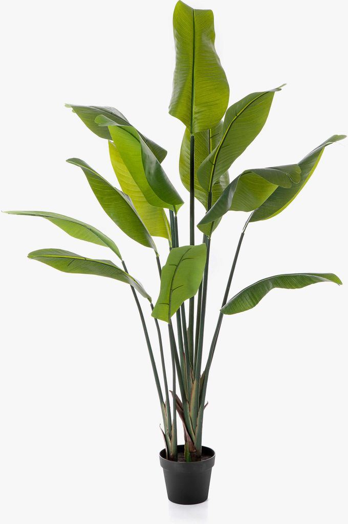 artplants.de Künstliche Pflanze Strelitzie Ombra, grün, 150cm - Dekopflanze
