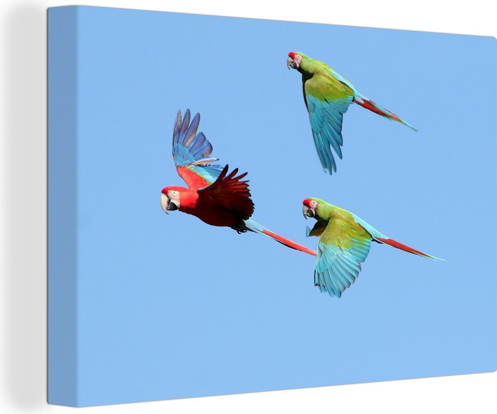 OneMillionCanvasses - Leinwandbilder - 150x100 cm, Drei fliegende Aras, Wandbilder Kunstdruck Wanddekoration