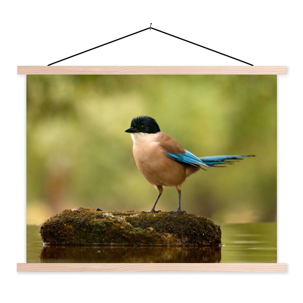 MuchoWow Textilposter Elster - Vogel - Moos 40x30 cm mit holzfarbenen Rahmen - Bilder