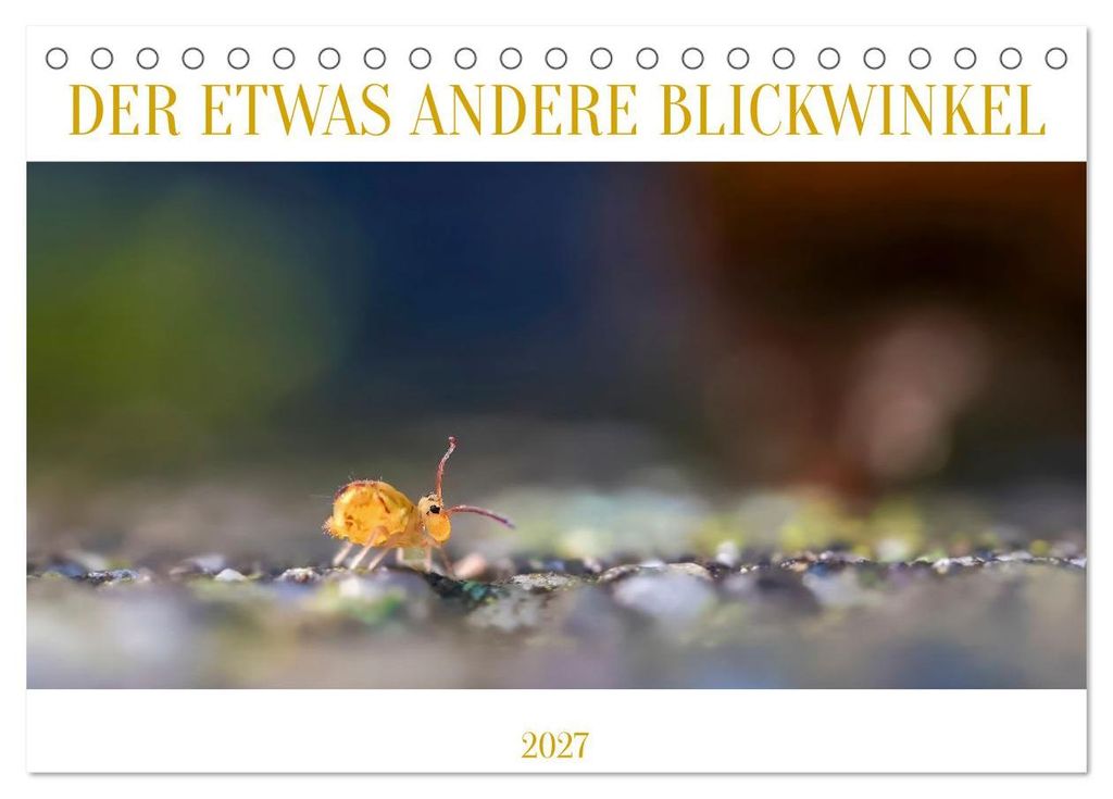 Der etwas andere Blickwinkel (Tischkalender 2027 DIN A5 quer), CALVENDO Monatskalender