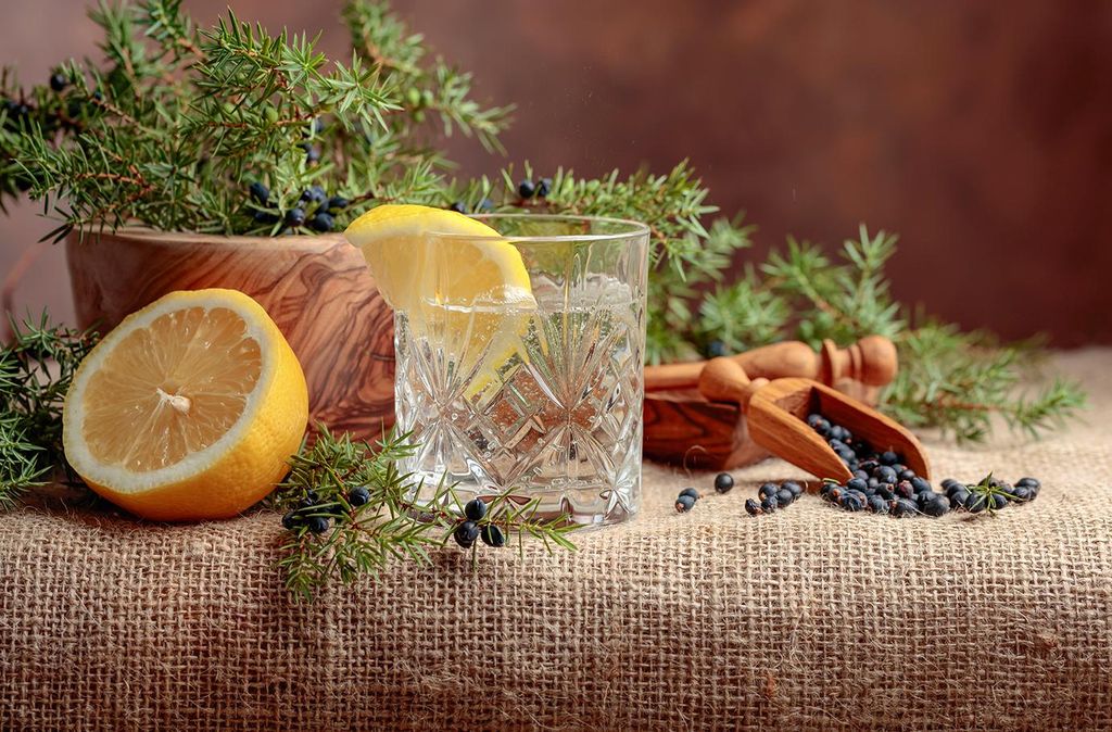 mydays Gin-Tasting in Wien; Erlebnis verschenken oder selbst erleben; Gutschein für 1 Person(en)