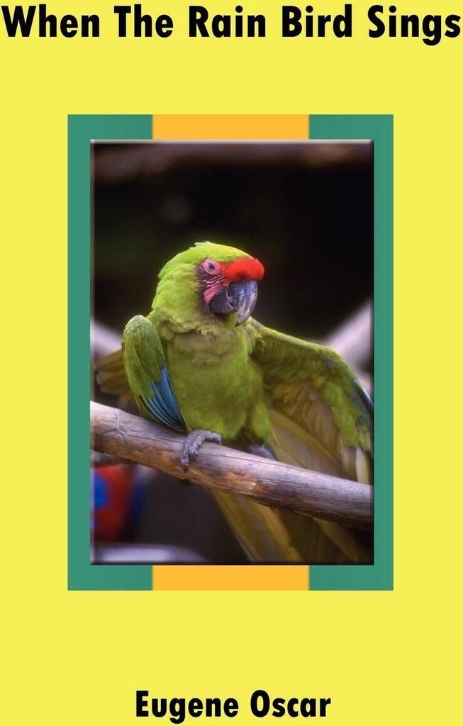 When The Rain Bird Sings
