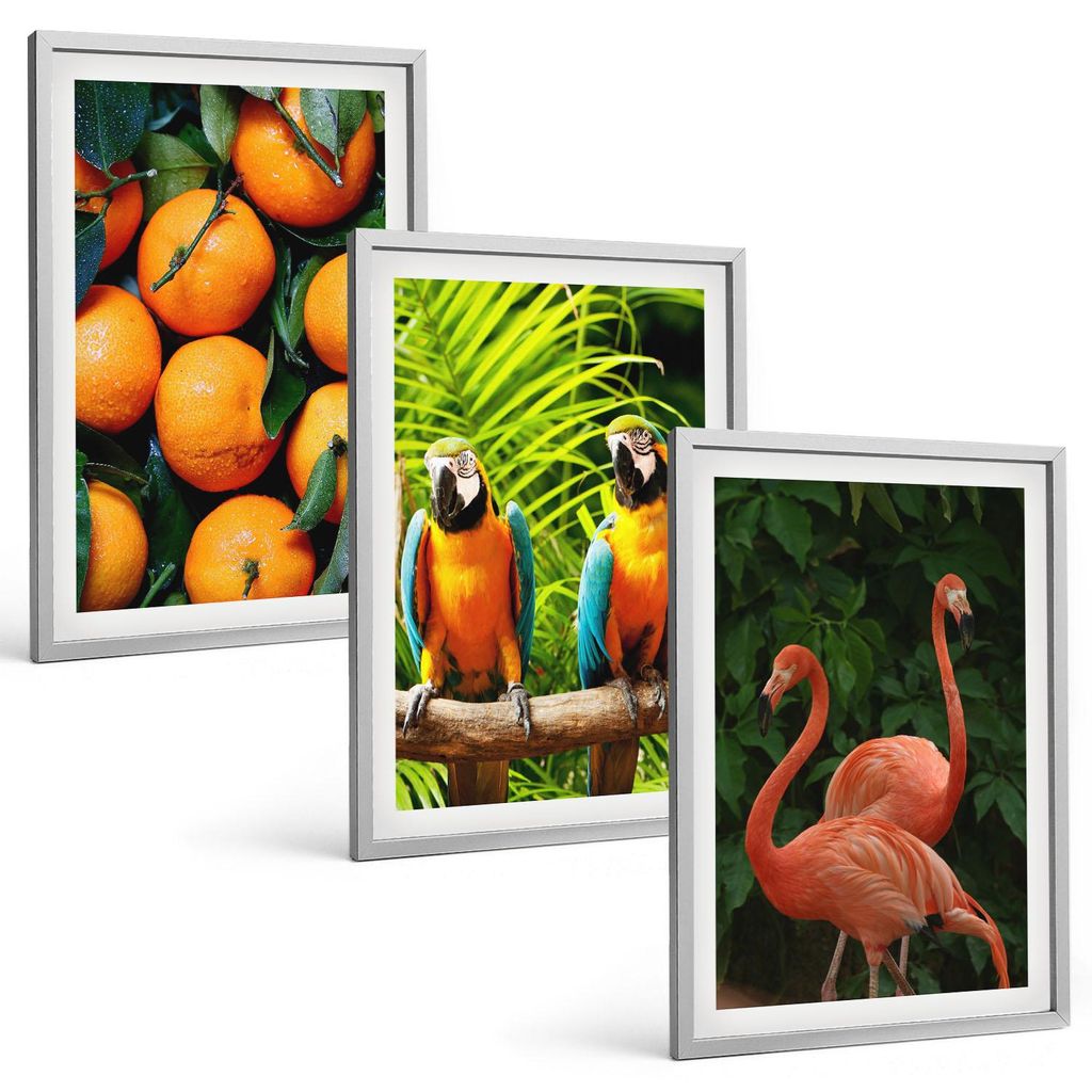 Bilder Set 3-teilig im silbergerahmten Rahmen – Wandbilder 3 Stück – gerahmte Poster für Wohnzimmer, Schlafzimmer und Flur – 40x60 cm – F...