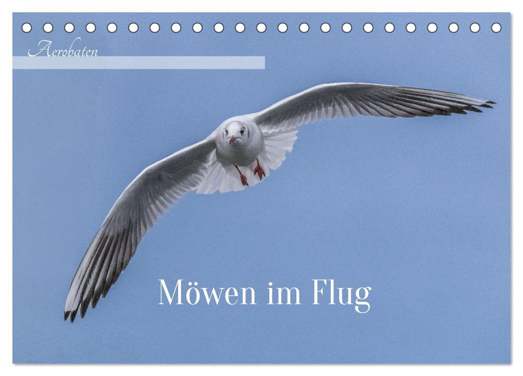 Aerorobaten - Möwen im Flug (Tischkalender 2027 DIN A5 quer), CALVENDO Monatskalender