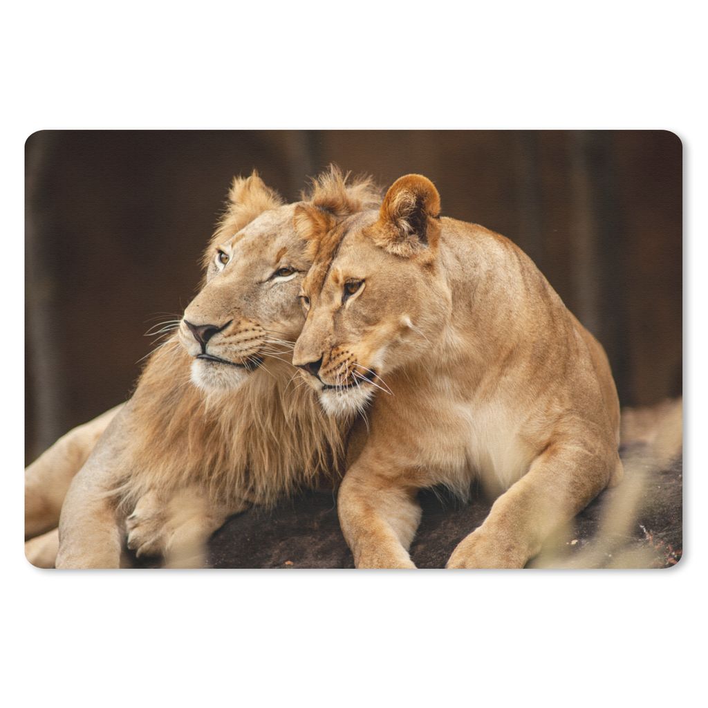 MuchoWow Schreibtischunterlage Löwen - Braun - Tiere 60x40 cm - XXL Mauspad - Großes Mauspad