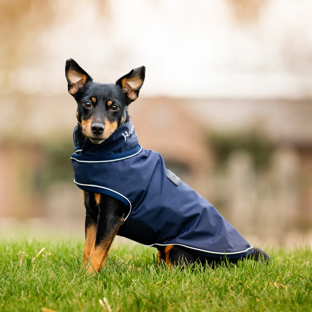 Hundemantel Horseware Signature - Il Miglior Impermeabile Qualità Prezzo