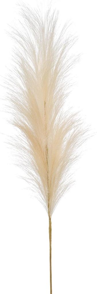 artplants.de Künstliche Pampasgras Rispe AMATSIA, Creme, 115cm - Deko Pampasgras