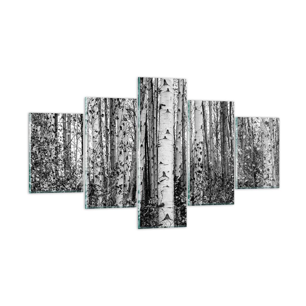 Bilder auf glas - 5 Teile - Birken Wald Monochrom - 125x70cm - Glasbilder - Wandbilder - Bilder - zum Aufhängen bereit - Wanddekoration aus Glas -...