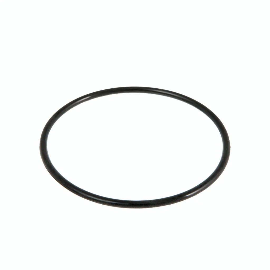 Bestway Strainer ORing für Sandfilter außer Kaufland.de