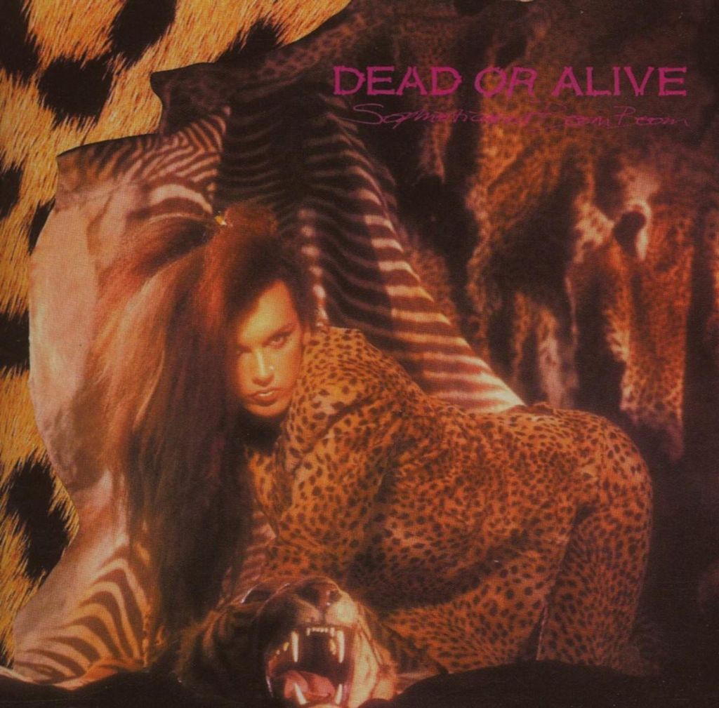 Dead Or Alive - Anspruchsvolle Boom Boom CD