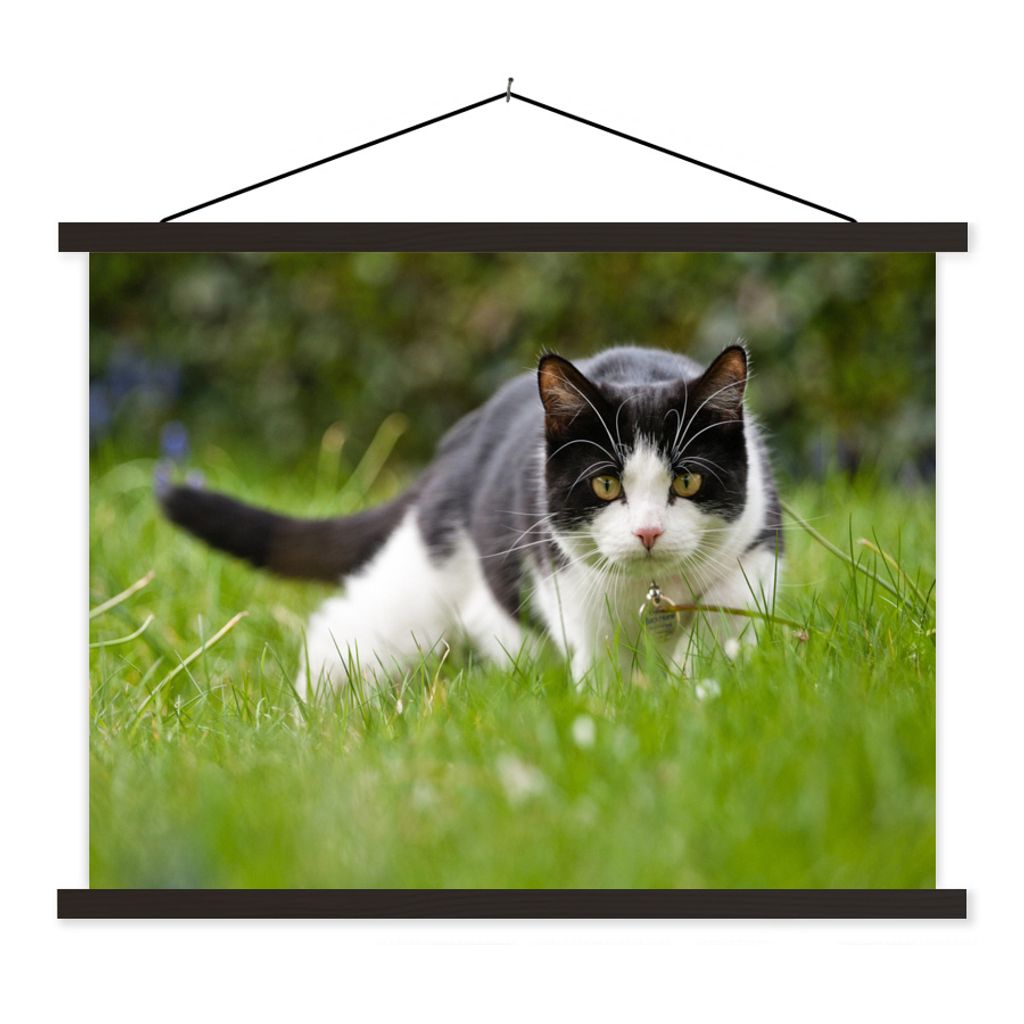 MuchoWow Textilposter Katze - Gras - Schwarz - Weiß - Mädchen - Kinder - Jungen - Kinder 40x30 cm mit schwarzem Rahmen - Dekorationen