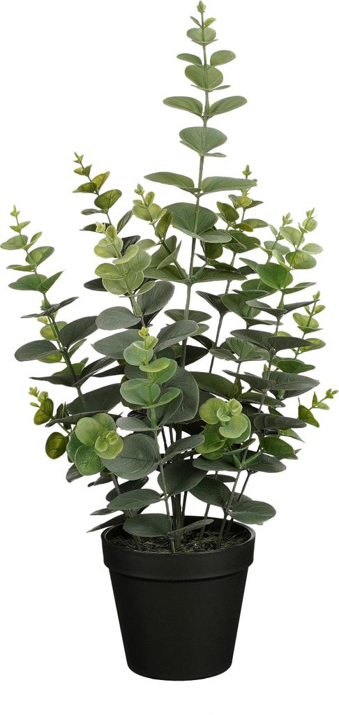 Mica Decorations Eucalyptus Kunstpflanze in Blumentopf - Produktbild 