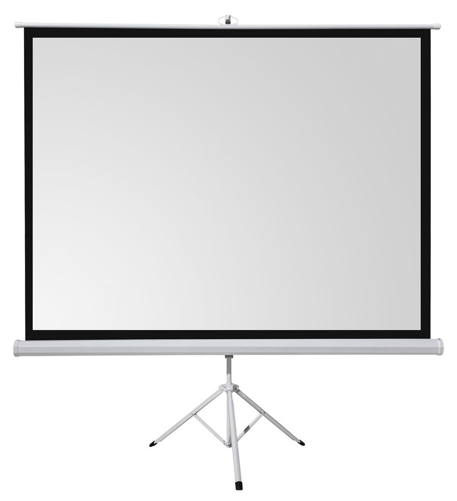 celexon basic Stativ-Leinwand 120" | 220x220 cm 1:1 | Produktbild 