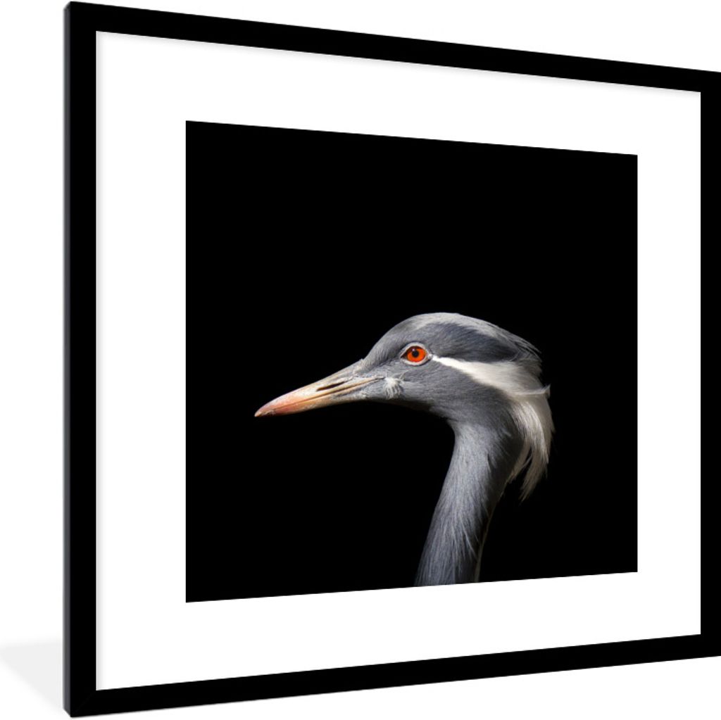 MuchoWow Gerahmtes Poster Vogel - Tiere - Porträt 40x40 cm - Poster mit Schwarzem Bilderrahmen Wandposter Rahmen Foto Bilder