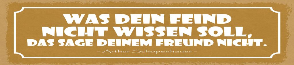 vianmo Blechschild 10x46 cm was dein Feind nicht wissen soll