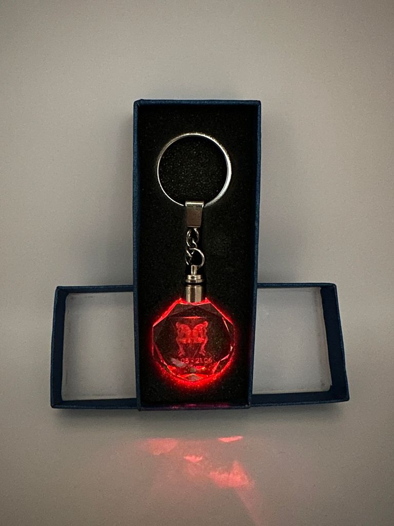 Zwillinge Sternzeichen Schlüsselanhänger LED Multicolor mit Geschenkbox