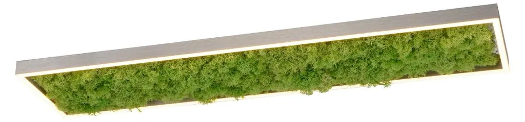 Plafonnier LED GREEN KNUT Leuchten Direkt rectangulaire 100cm 2050lm