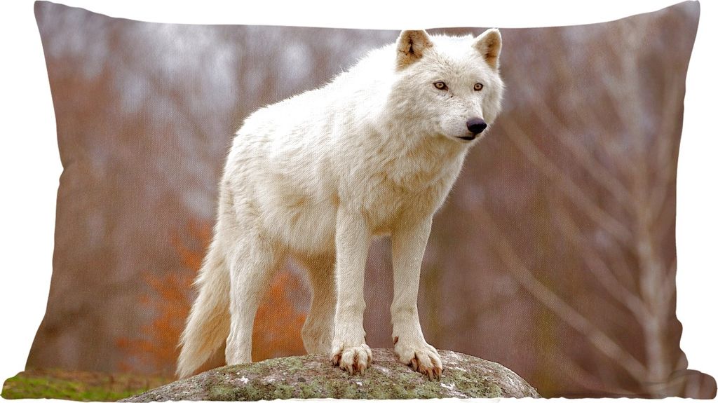MuchoWow Zierkissen Sofakissen Wohnzimmer Dekokissen 50x30 cm Wolf - Stein - Weiß - Wohnzimmerdekoration - Polster mit Photo