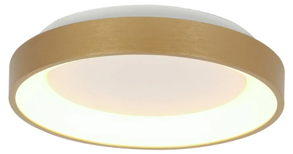 Plafonnier LED or Ringlede 28cm : éclairage puissant pour pièces sombres