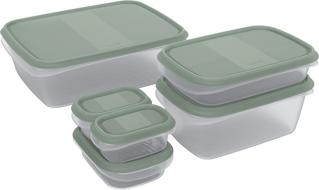 Rotho Frischhaltedosen Set Elements - Vorratsdosen Behälter 6tlg. in versch. Größen - Gefrierdosen bis -20°C - Kühlschrank Aufbewahrungsbox lu...