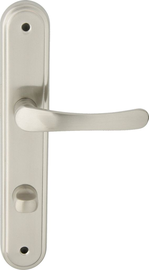 A silver-colored door handle set on a white background.