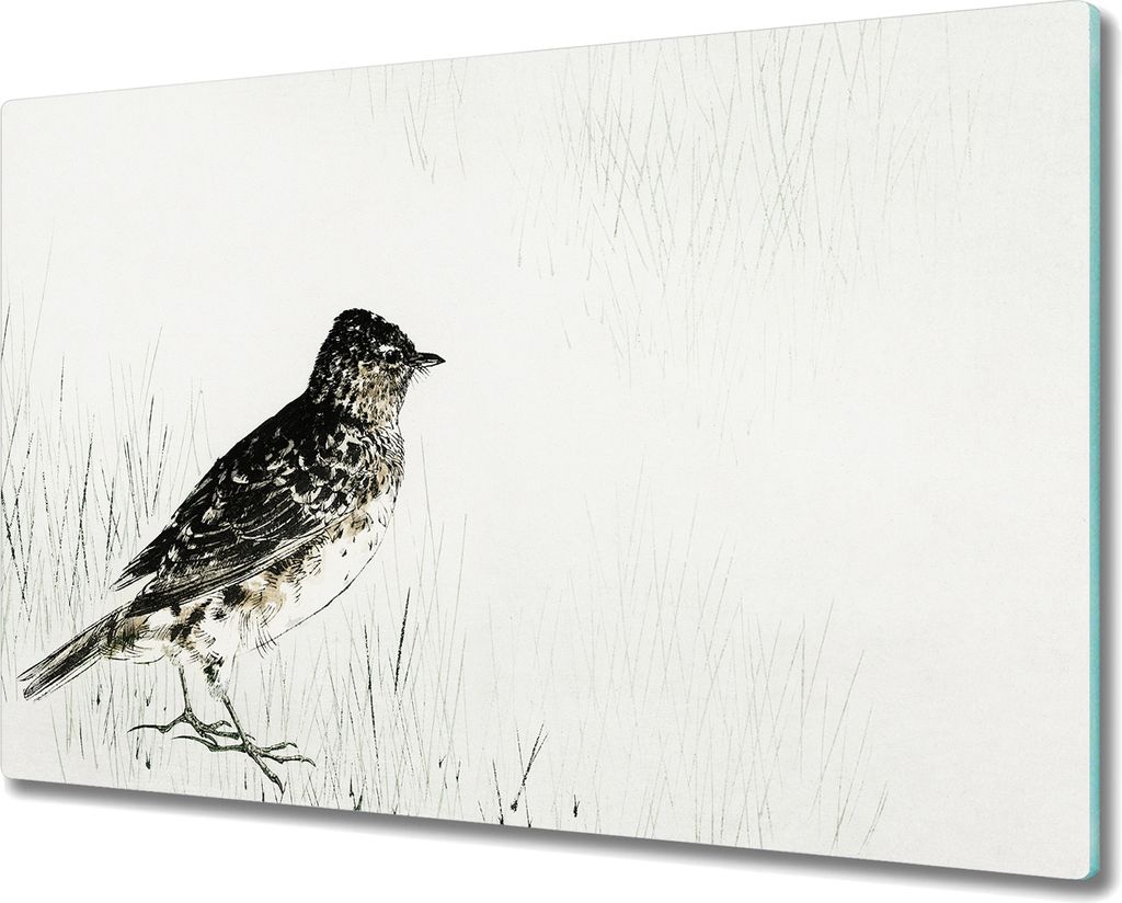 Coloray Schneidebrett Herdabdeckplatte 80x52 cm Kochplattenabdeckung Küchenbrett Hackbrett - Tier Vogel