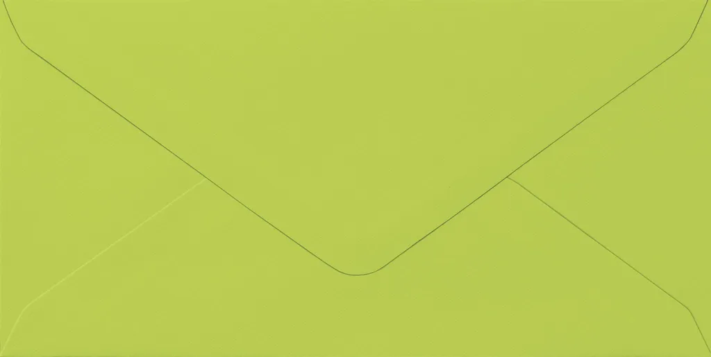 Heyda 211454044 Enveloppe DL 110 x 220 mm Vert Pomme pour Courrier