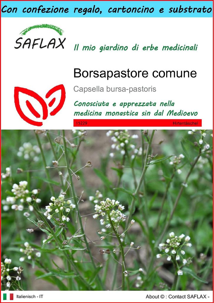 SAFLAX Set regalo - Borsapastore comune - 1000 semi - Immagine del prodotto 