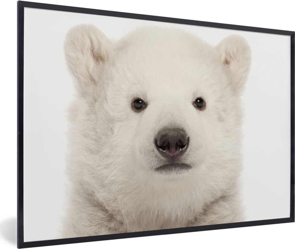 MuchoWow Gerahmtes Poster Eisbär - Tiere - Weiß - Kinder - Jungen - Mädchen 90x60 cm - Poster mit Schwarzem Bilderrahmen Wandposter Rahmen Fot...