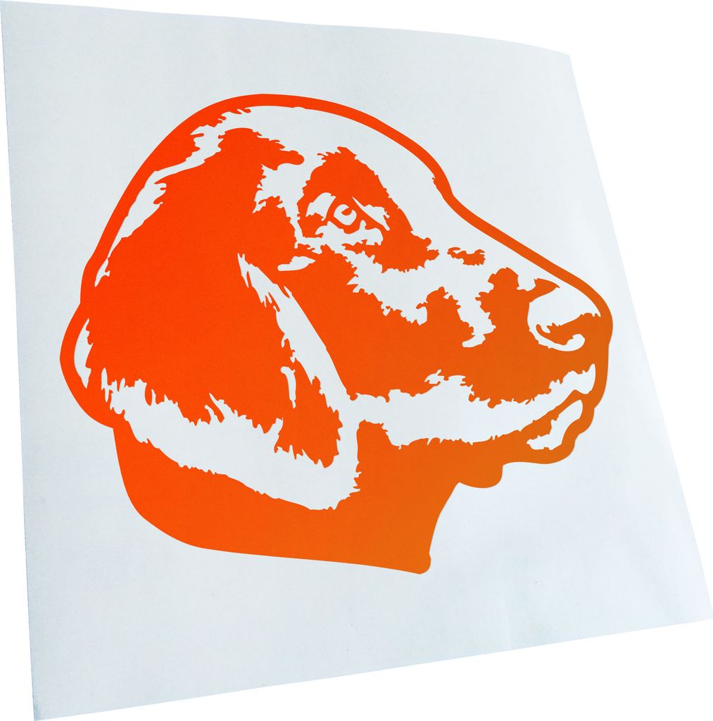 Kiwistar - Autoaufkleber - Flat coated retriever Hund - Orange - 12x10cm - Aufkleber für Auto, Laptop, Fahrrad, LKW, Motorrad mehrfarbig JDM Decal...