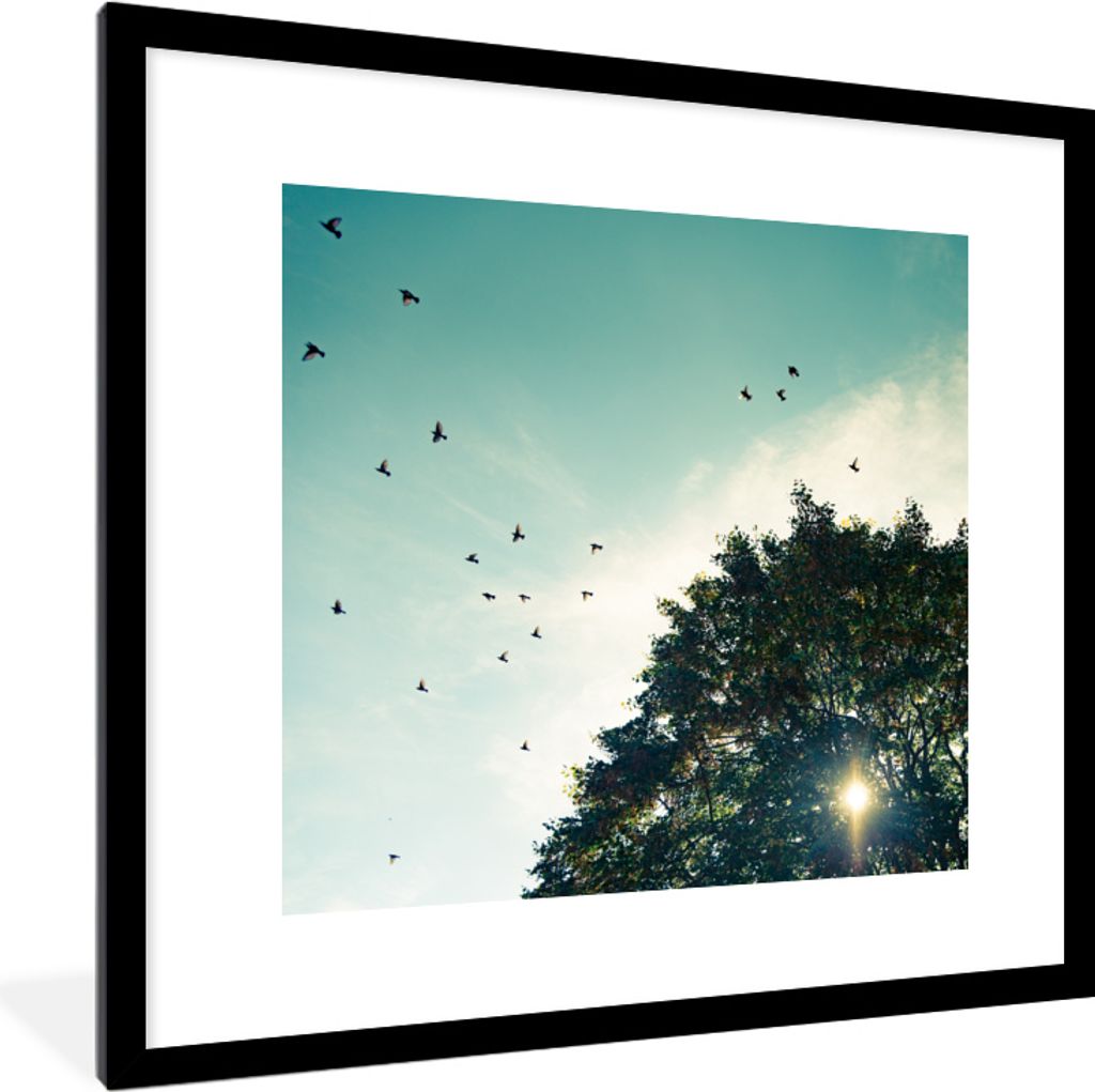 MuchoWow® MuchoWow® Gerahmtes Poster Wald - Baum - Vogel Produktbild 