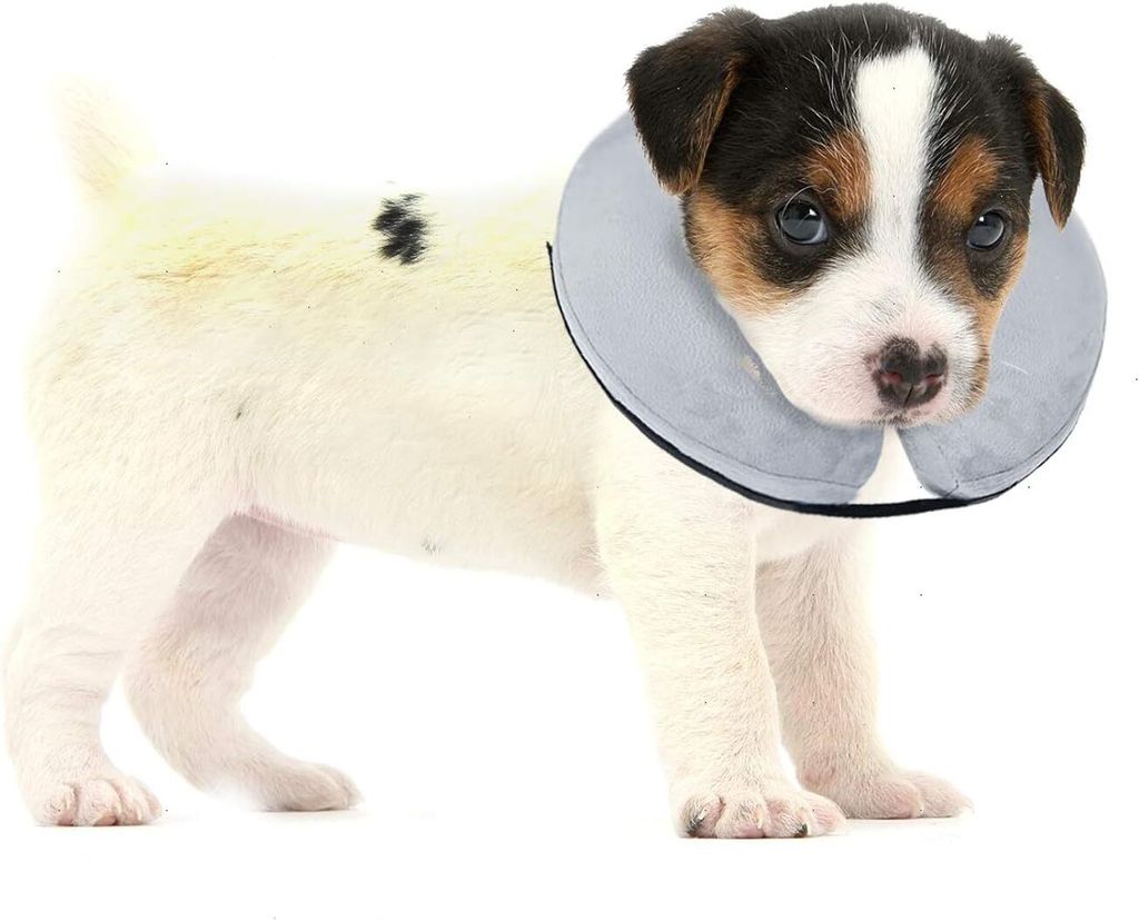 Bencmate Aufblasbare Halskrause für Hunde & Katzen, Hundekragen Leckschutz Hund für Genesung nach
