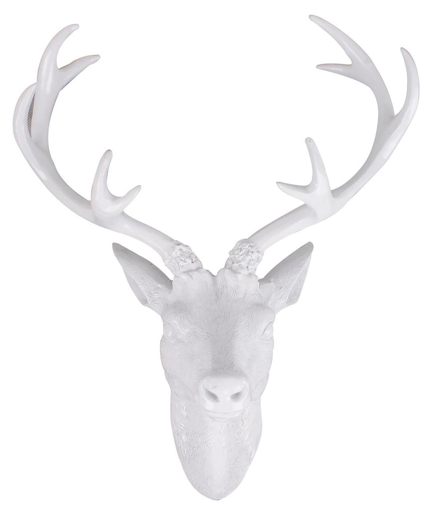 XXL Hirschgeweih Hirschkopf Geweih 10-Ender Weiß 48x32x61cm Figur Skulptur