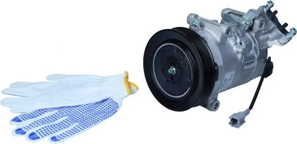 Réparer la Clim de votre Renault Grand Scénic 08- Compresseur 6Sel14C
