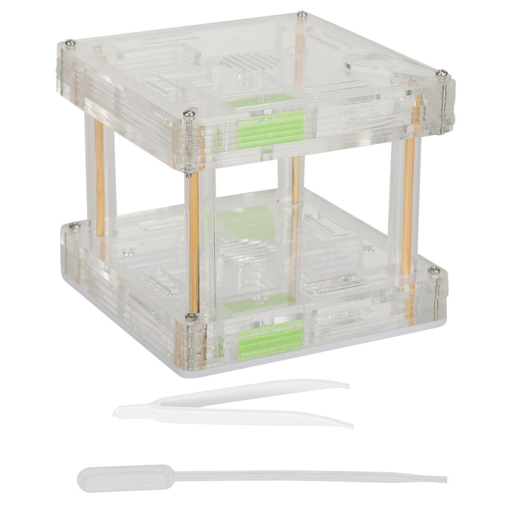 Acryl Ameisennest Display Box House Hill Castle Villa Farm für Insektenbildung