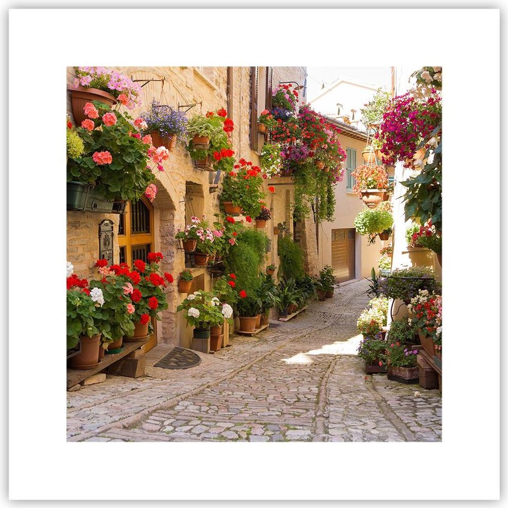 Poster - Poster ohne Rahmen - Blume Straße Haus - 30x30 cm - Wand Bild - Wanddeko - Wandbilder - Kunstposter - Wandposter - Bilder - Kunstdruck - ...