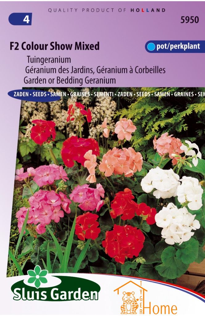 F2 Color Show semi misti – Gerani da giardino, piante da Immagine del prodotto 