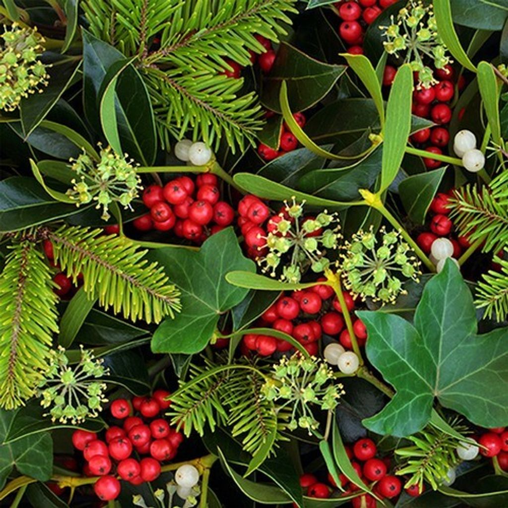 20 Servietten Berries and Plants - Versteckte Winterbeeren Produktbild 