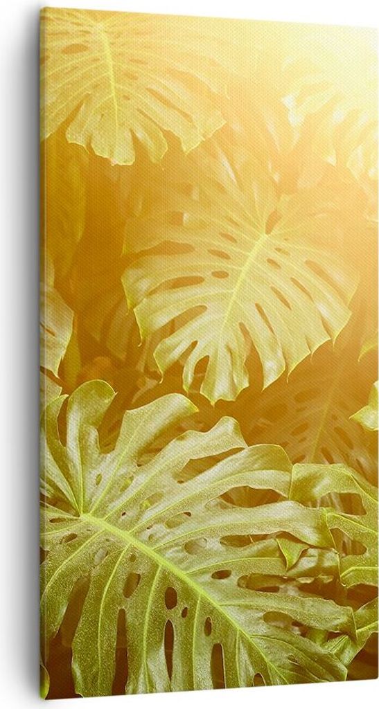 Bild auf Leinwand - Leinwandbild - Einteilig - Blätter Monstera Licht - 55x100cm - Wand Bild - Wanddeko - Wandbilder - Leinwanddruck - Bilder - Wa...